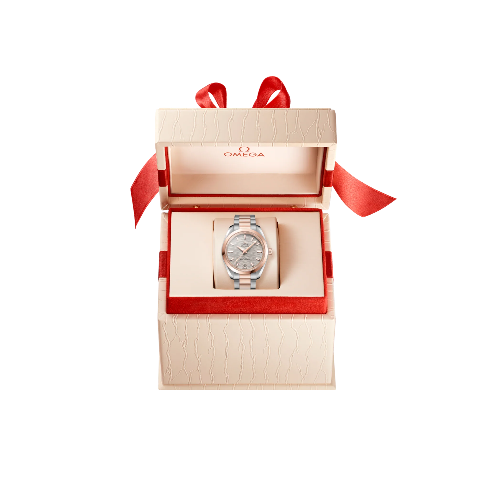 SEAMASTER AQUA TERRA 150M - Image 5