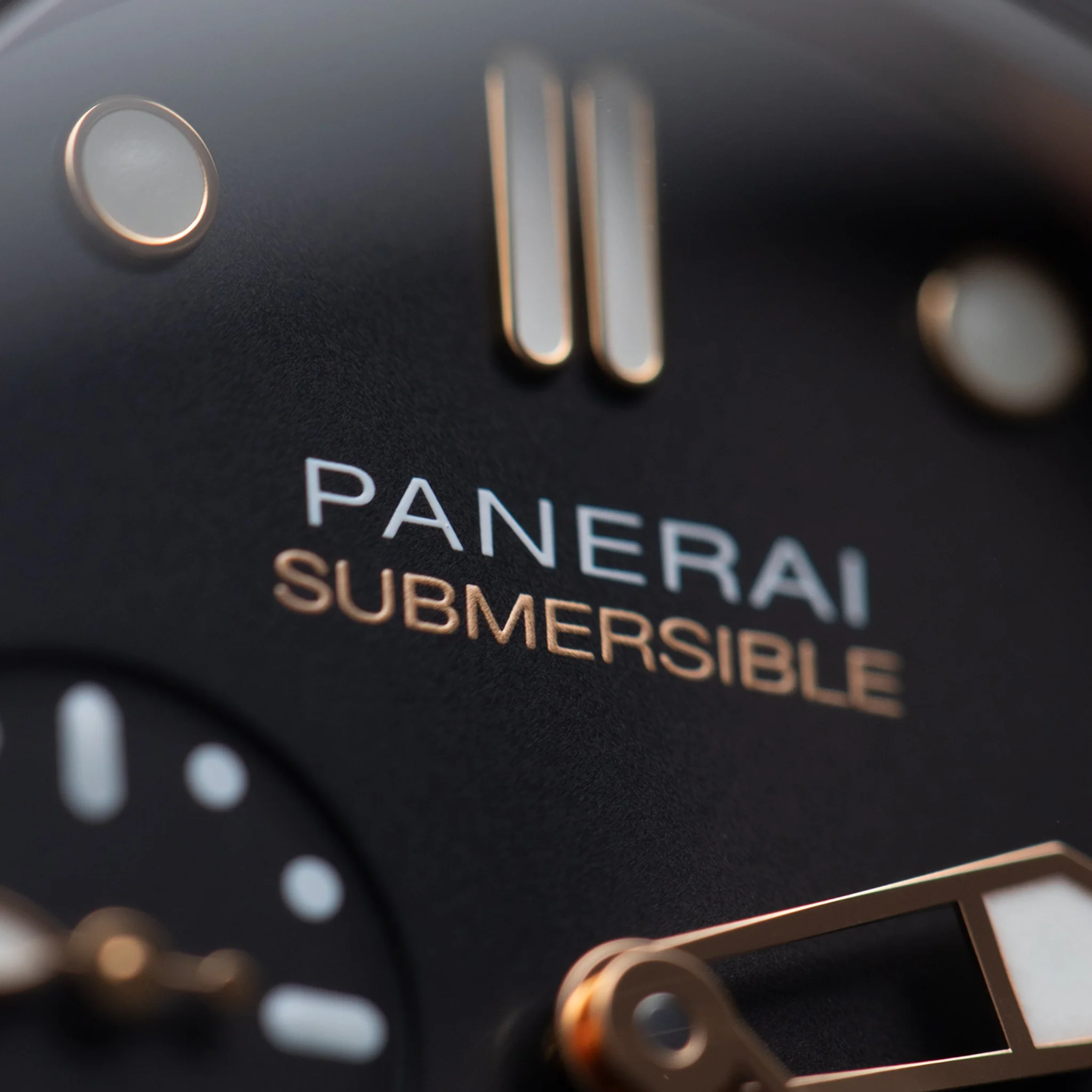 SUBMERSIBLE GOLDTECH - Image 3