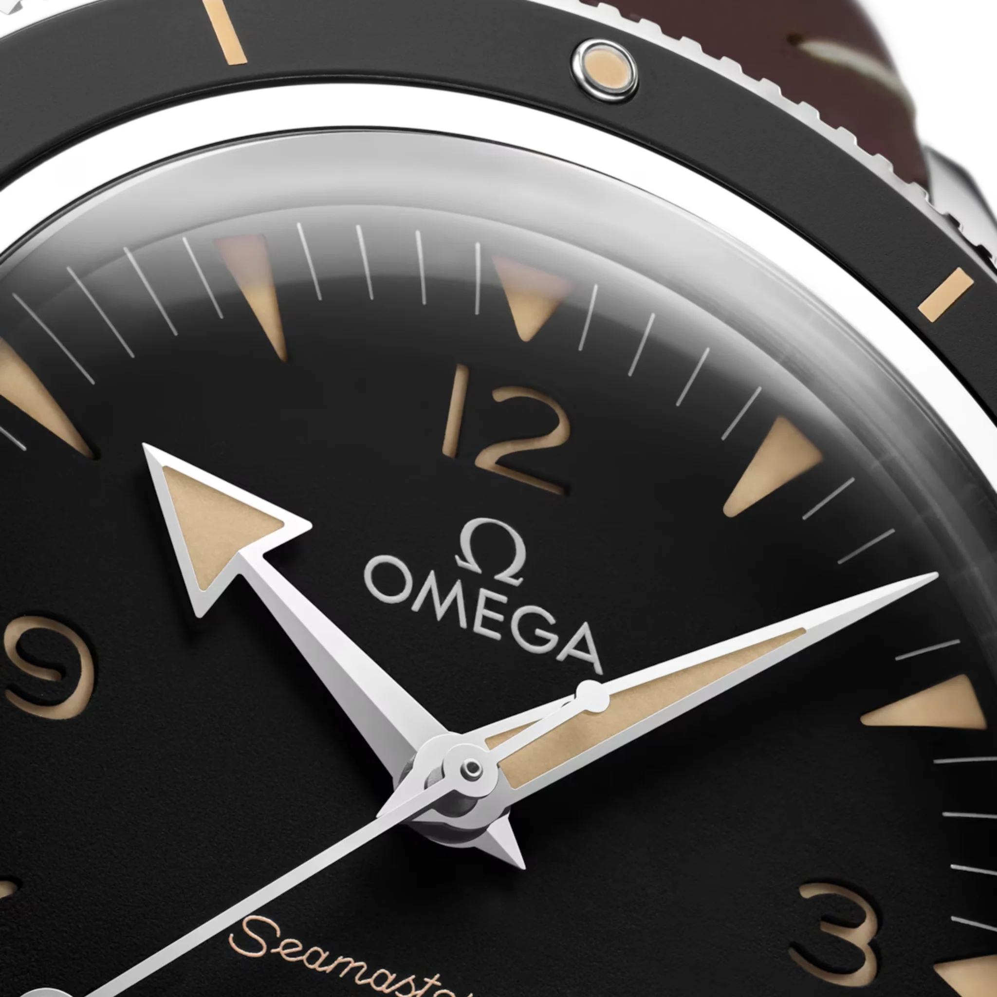 SEAMASTER 300 MASTER CO AXIAL - Image 2