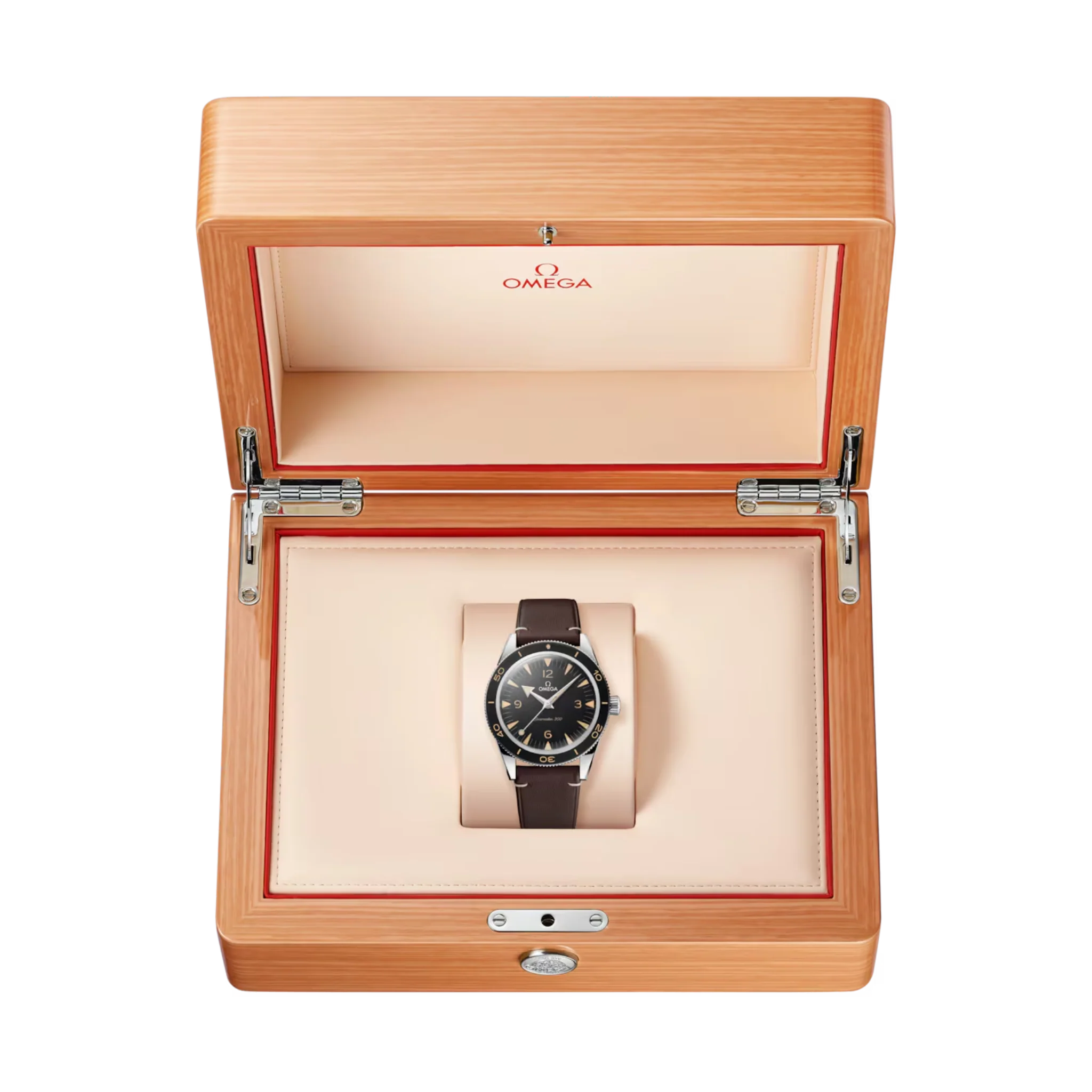 SEAMASTER 300 MASTER CO AXIAL - Image 5