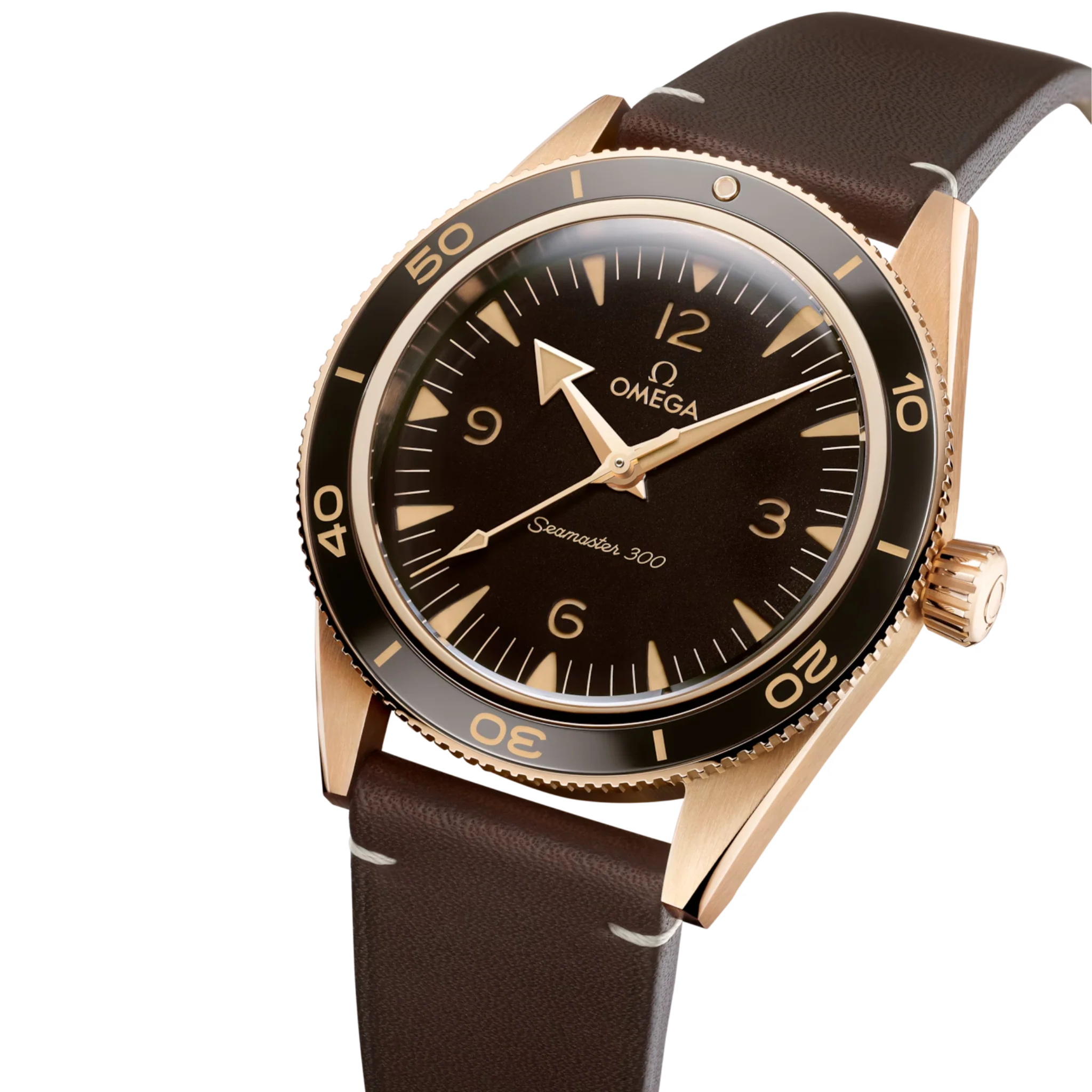 SEAMASTER 300 MASTER CO AXIAL - Image 2