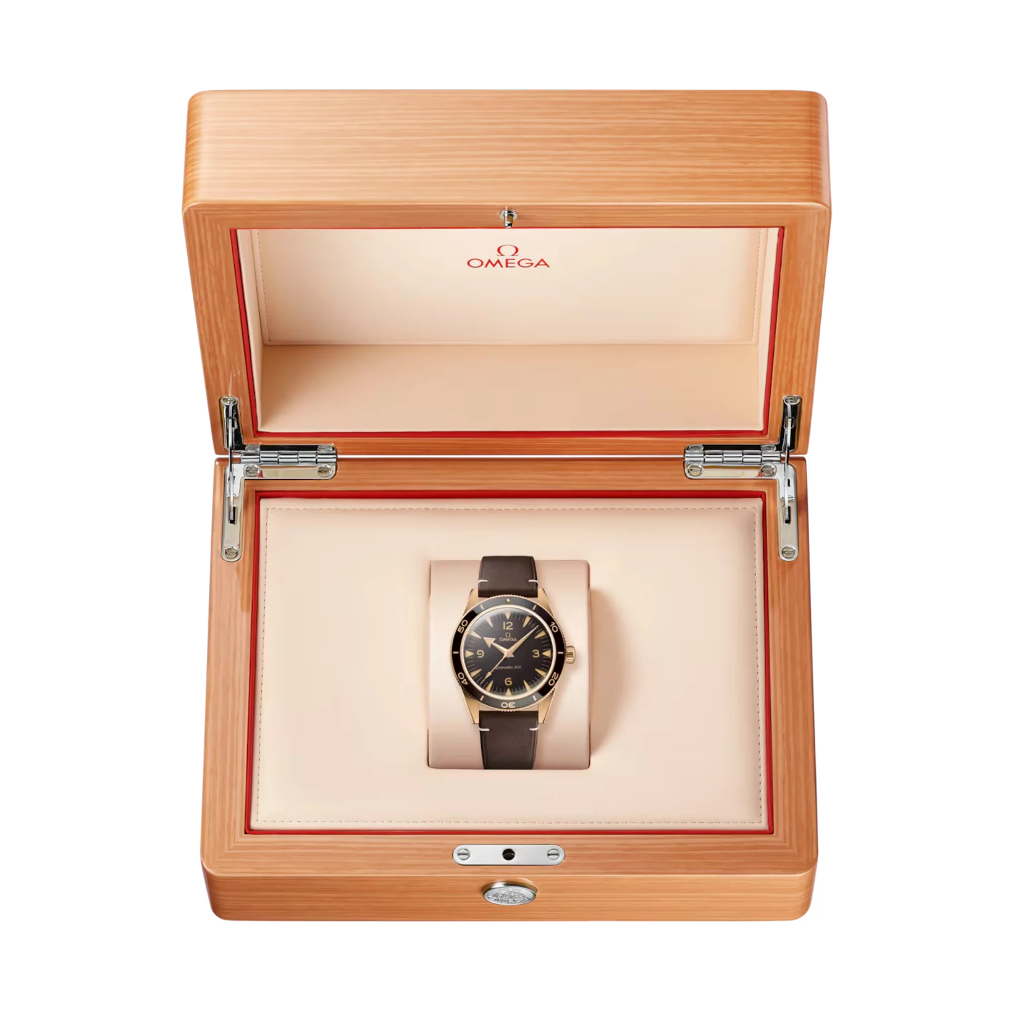 SEAMASTER 300 MASTER CO AXIAL - Image 6