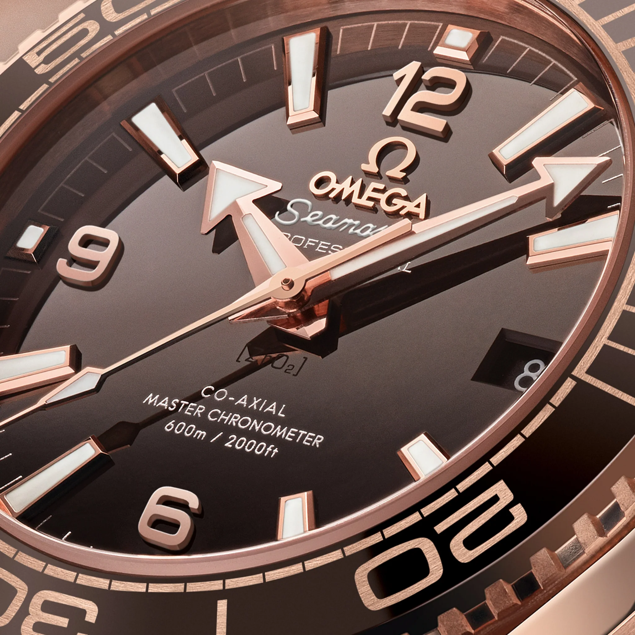 SEAMASTER DIVER 600M CO AXIAL CHRONOMETER - Image 2