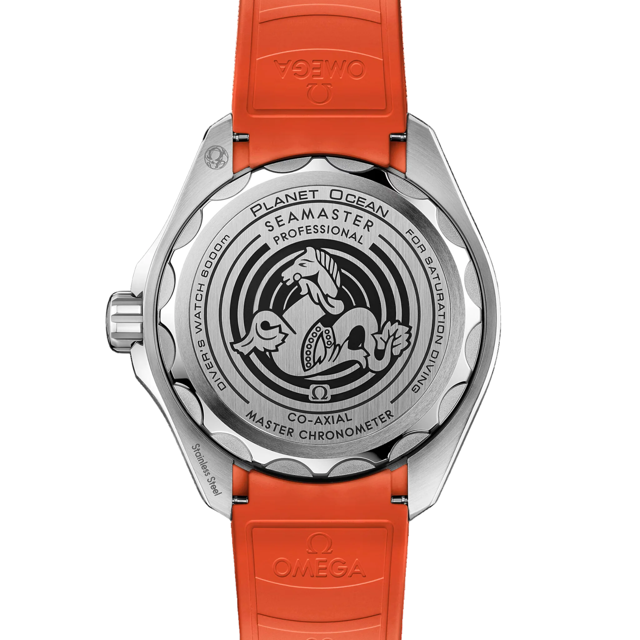 SEAMASTER - Image 3