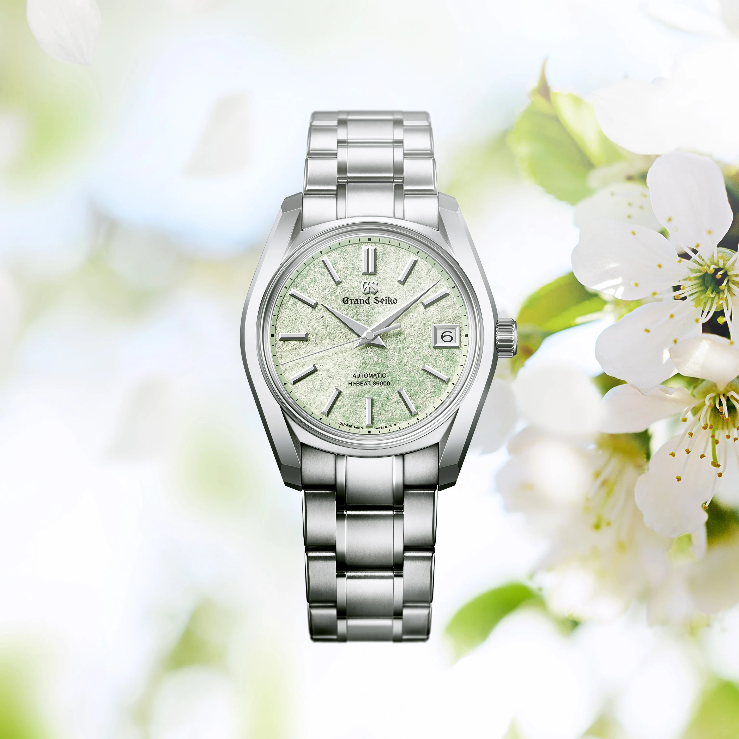 HERITAGE SAKURA-WAKABA - Image 4