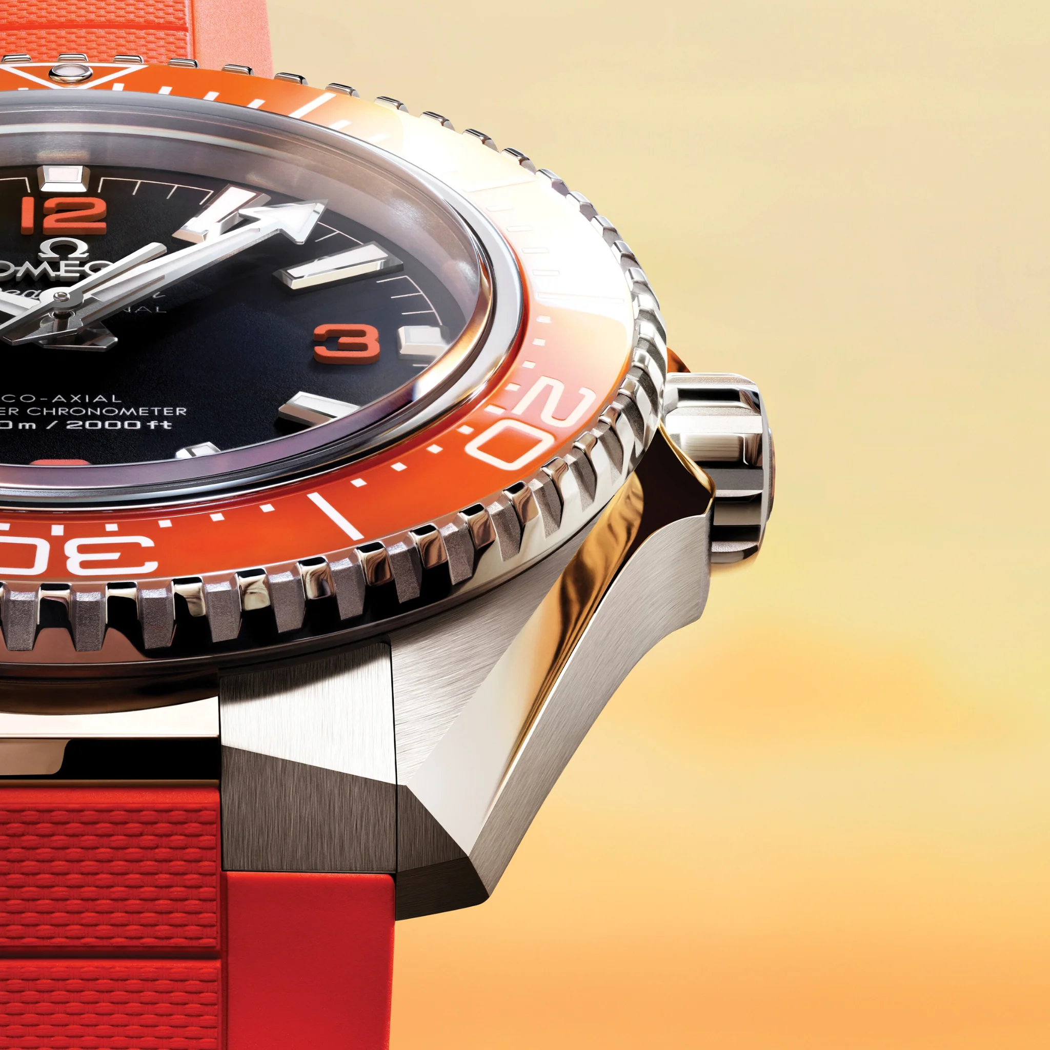 SEAMASTER PLANET OCEAN 600M - Image 5